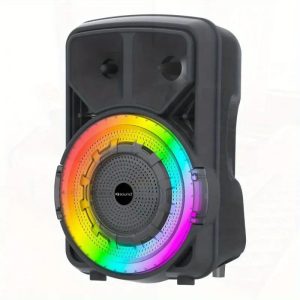 Wireless Speaker with Microphone, Large Speaker, Portable Speaker, Subwoofer, Outdoor Wireless Speaker,