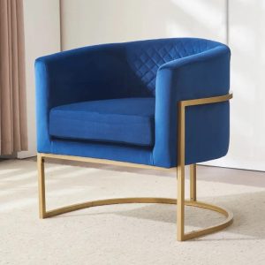 warehouseContemporary Velvet Accent Chair, Upholstered Single Sofa for Living Room