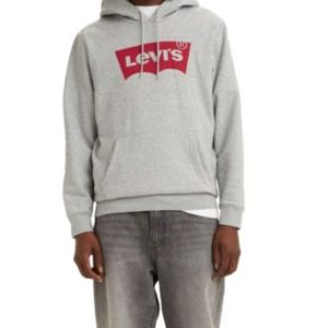 Men's Regular Fit Batwing Graphic Logo Hoodie